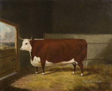 bull 07 Oil Paintings